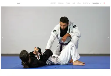 Screenshot of bjj.ge