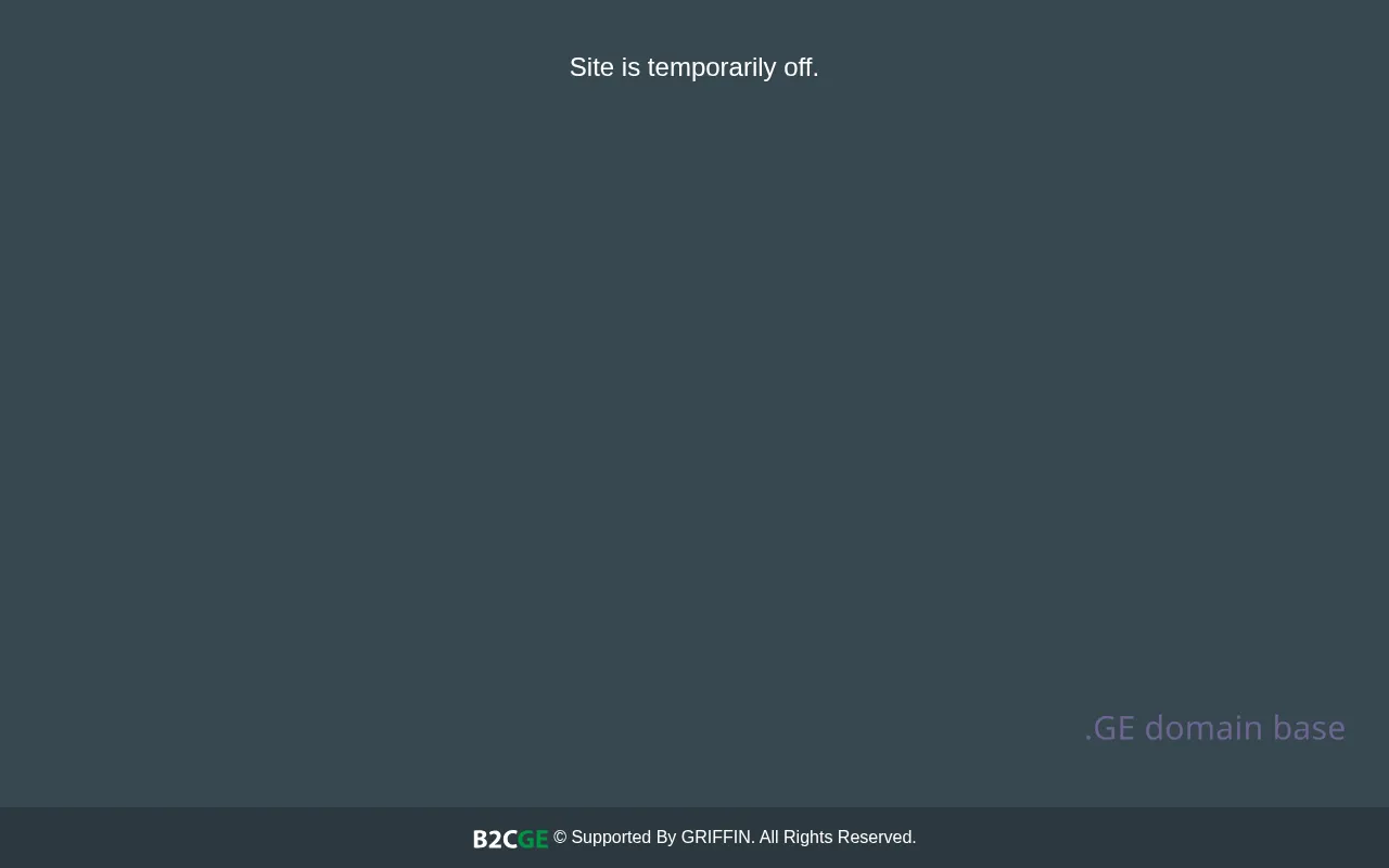Screenshot of the site blikvanger.ge