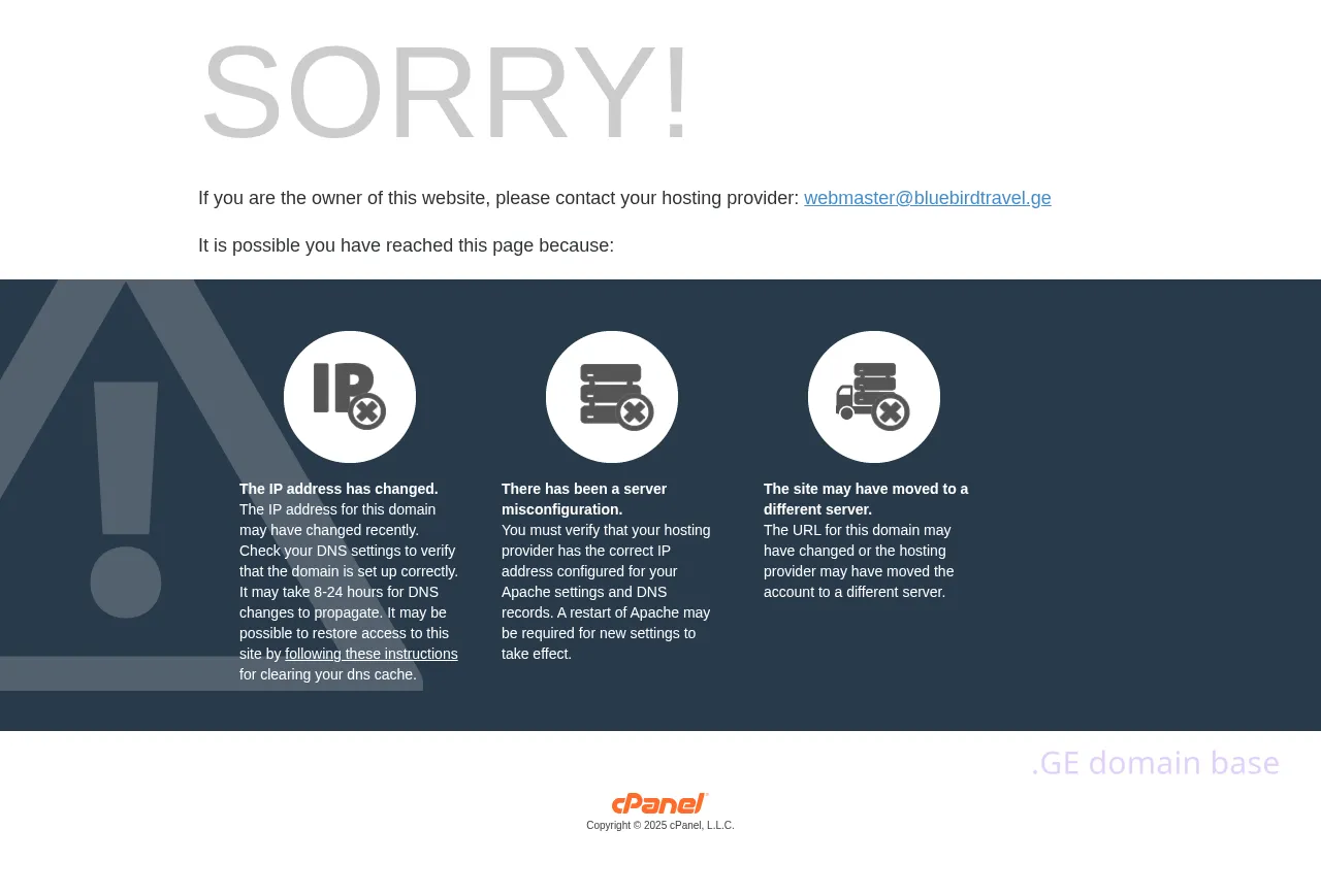 Screenshot of the site bluebirdtravel.ge
