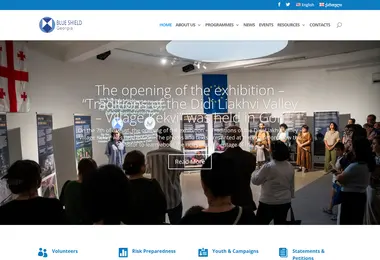 Screenshot of blueshield.ge