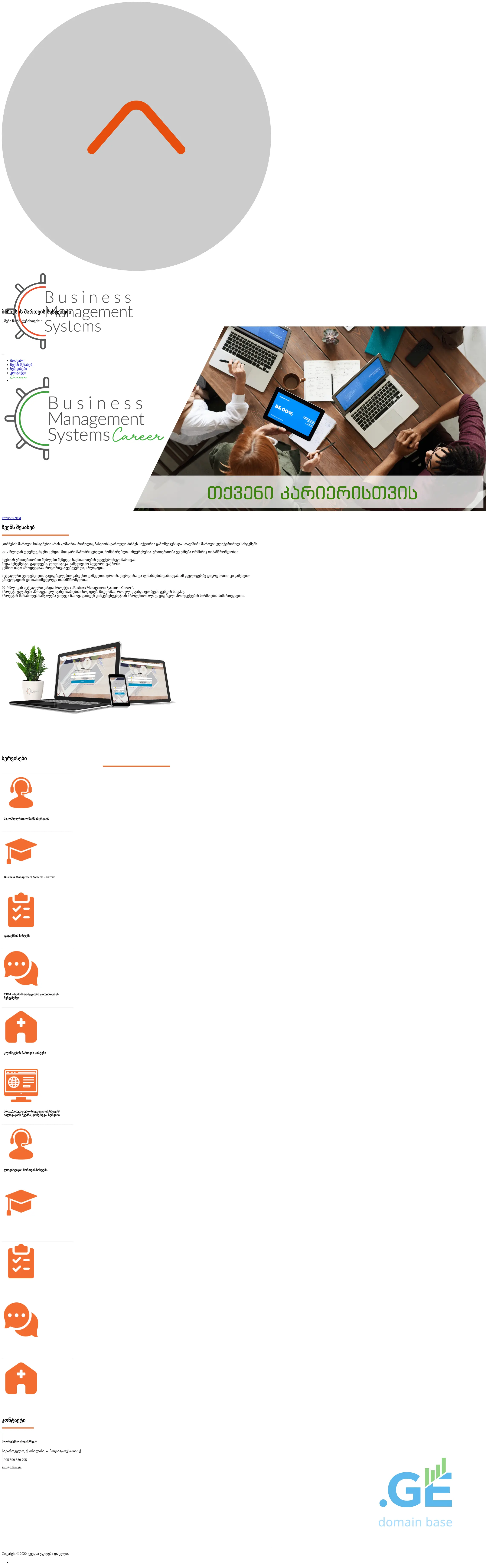 Screenshot of the site bmsystems.ge
