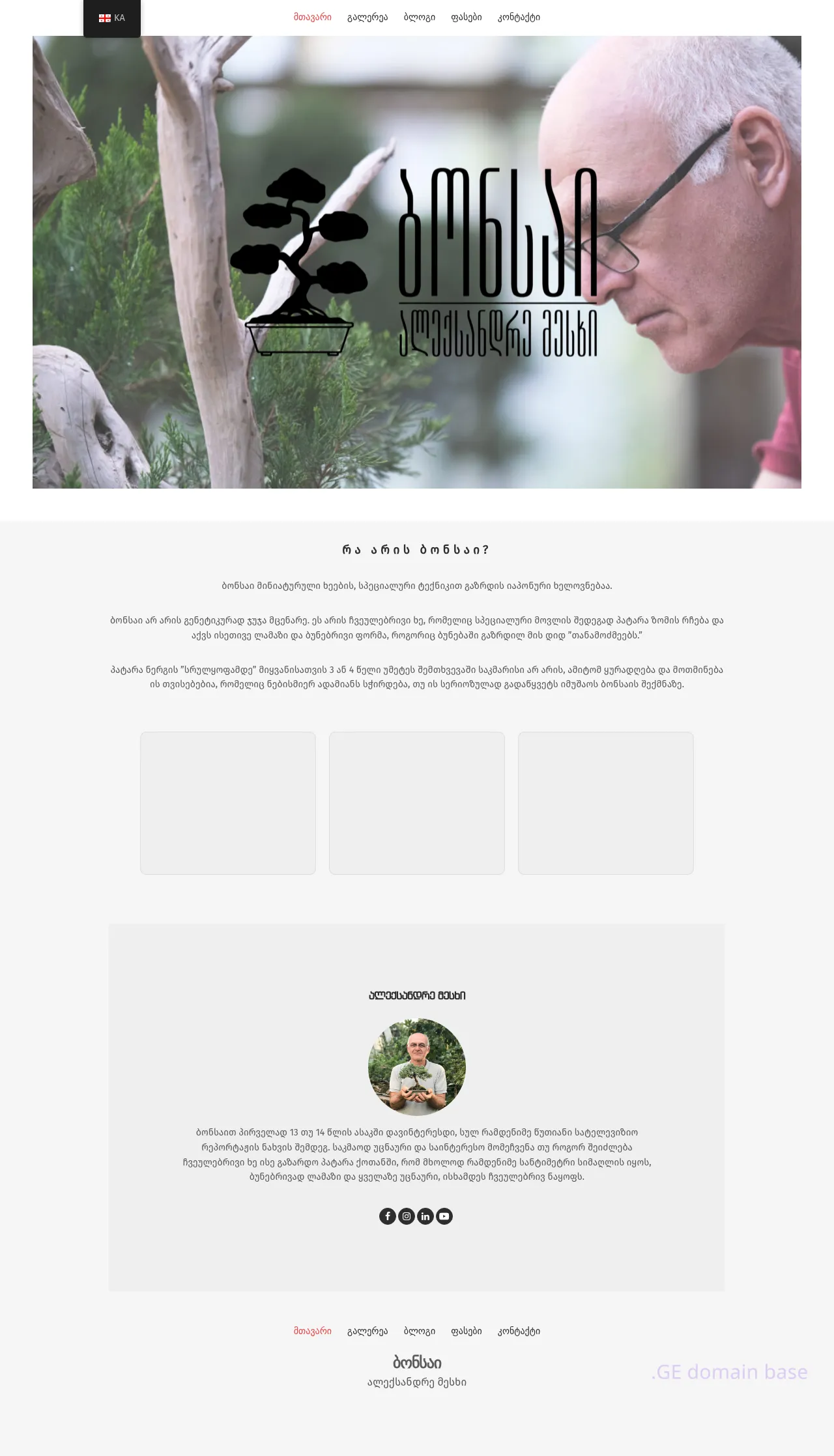 Screenshot of the site bonsai.ge