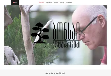 Screenshot of bonsai.ge