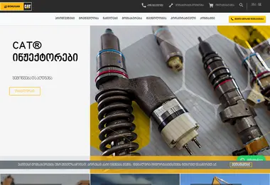 Screenshot of borusancat.ge