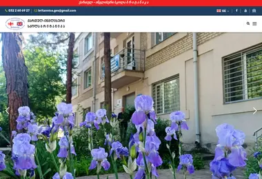 Screenshot of britannica.ge
