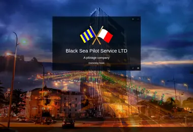 bsps.ge-ის ეკრანის სურათი