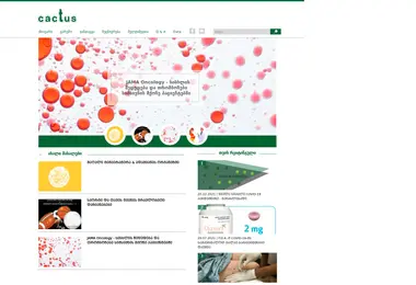 Screenshot of cactus-media.ge