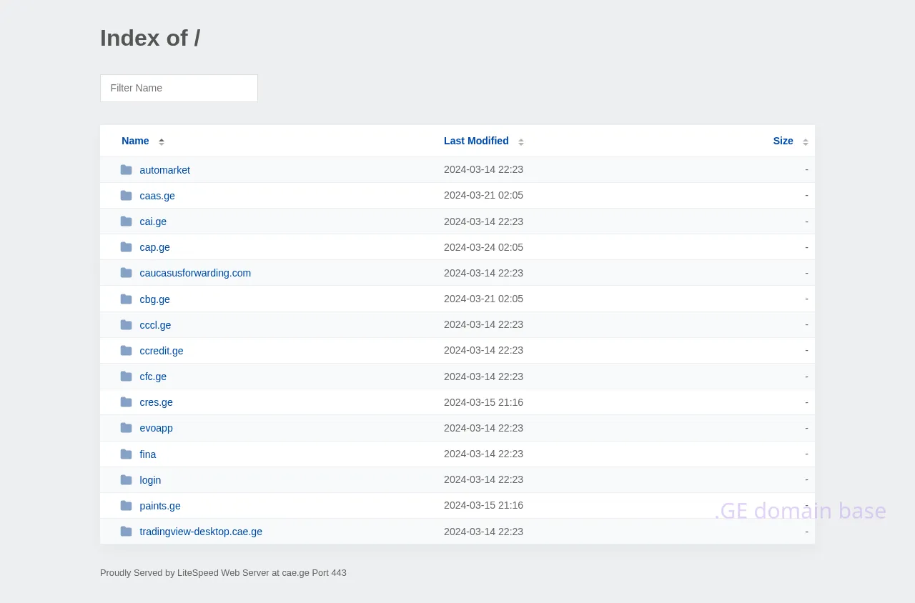 Screenshot of the site cae.ge