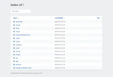Screenshot of cae.ge