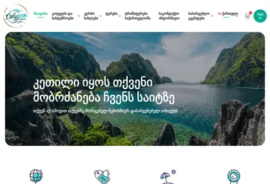 Screenshot of calypso-tr.ge