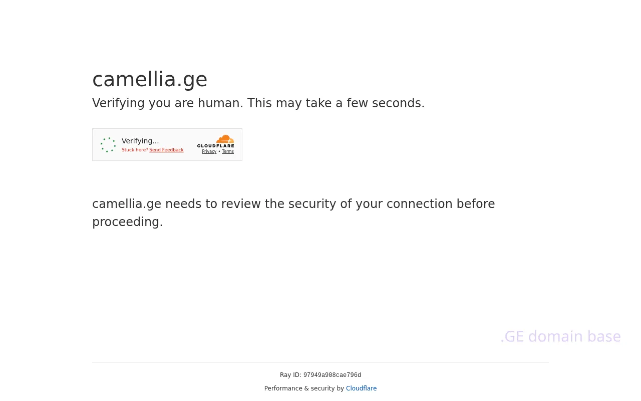 Screenshot of the site camellia.ge