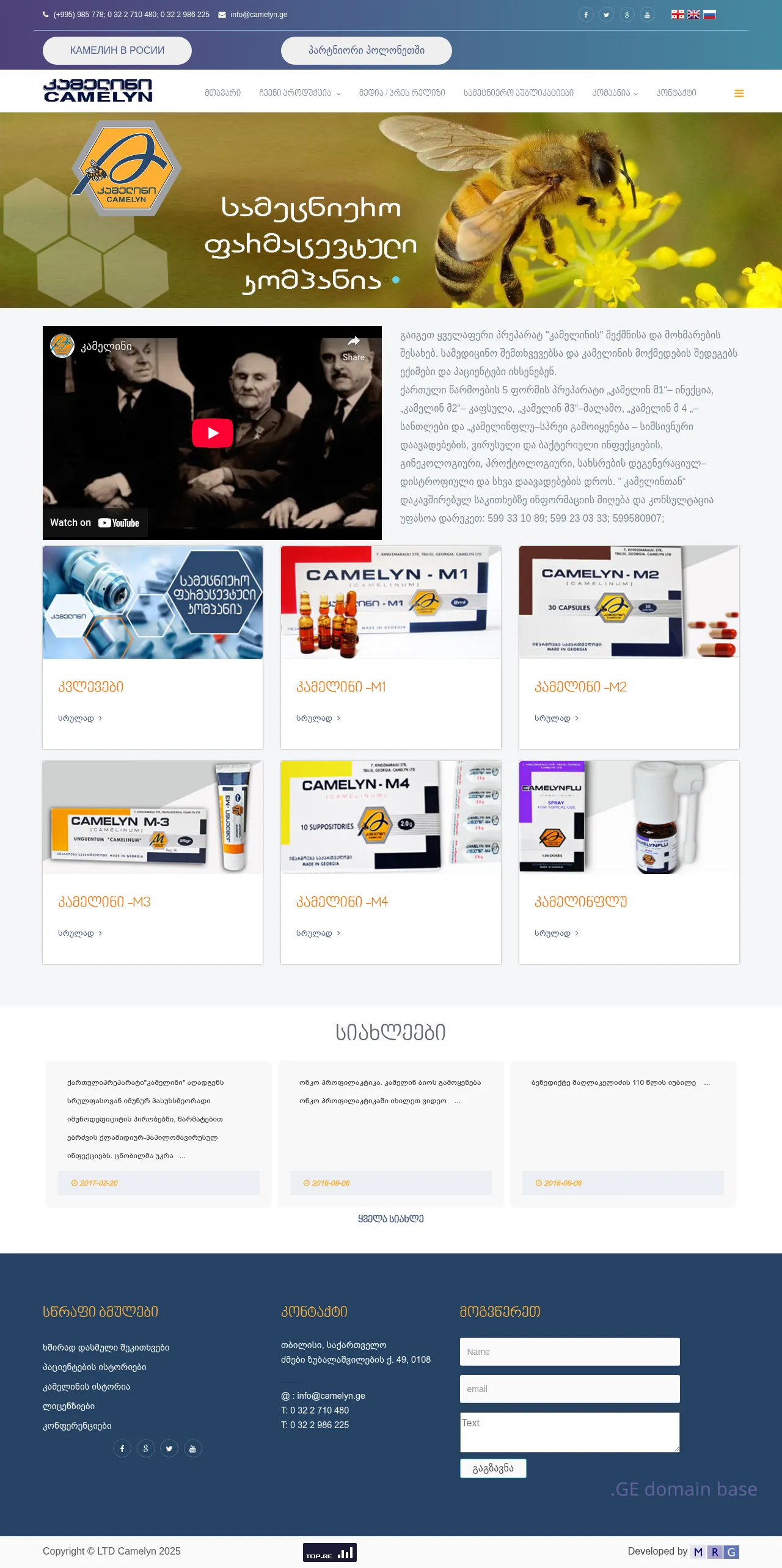Screenshot of the site camelyn.ge