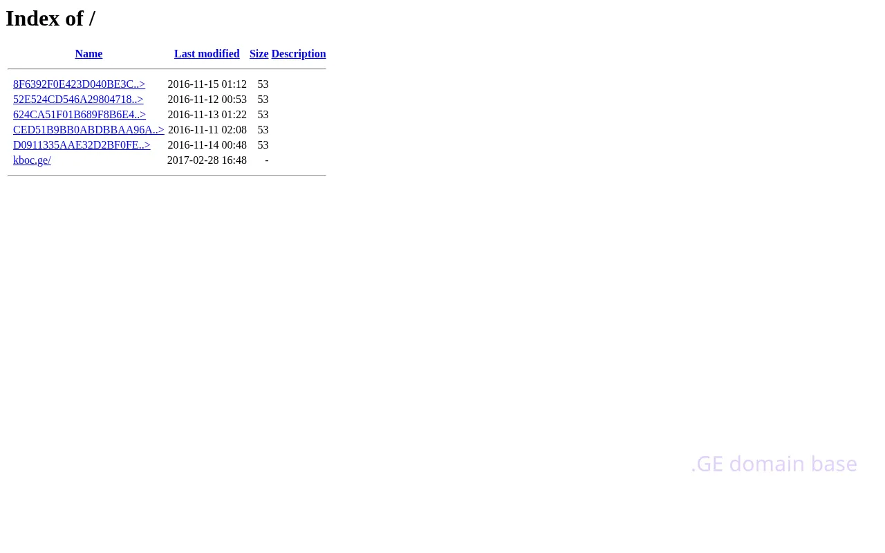 Screenshot of the site canargo.ge