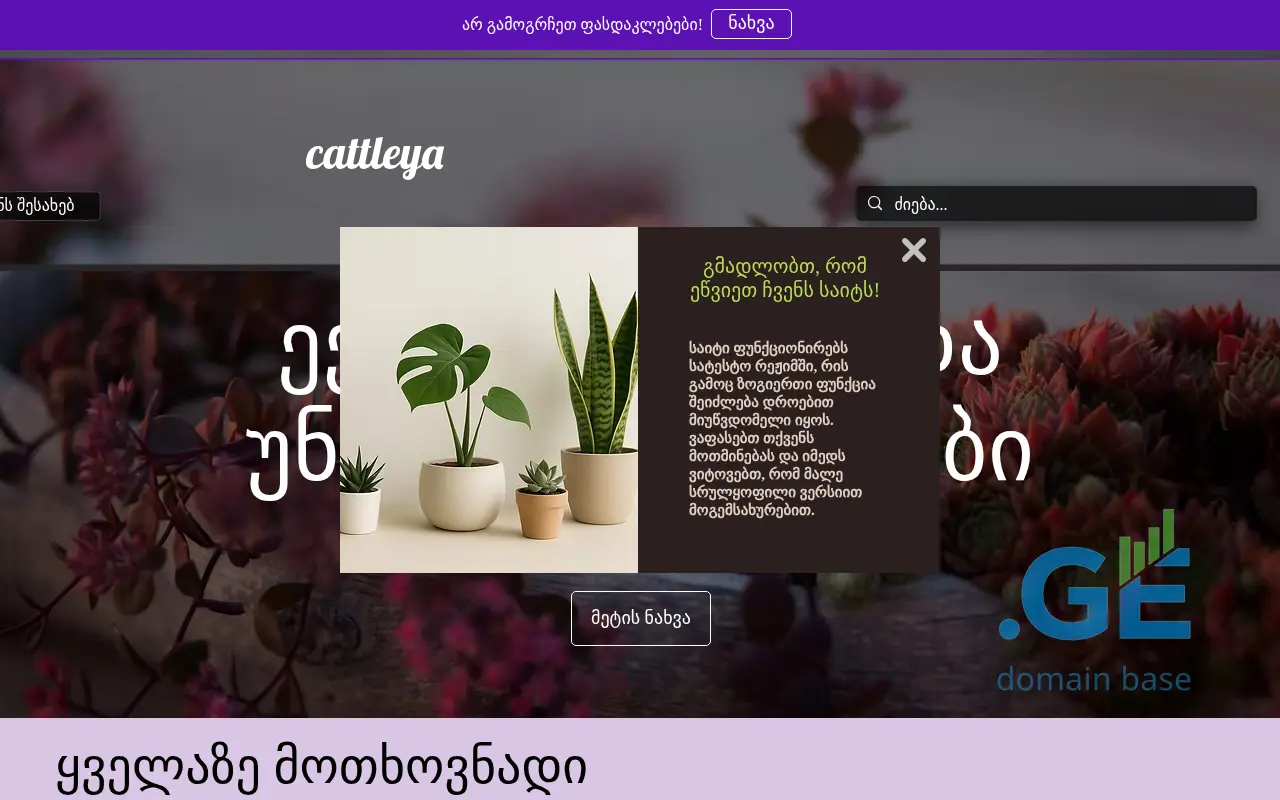 Screenshot of the site cattleya.ge