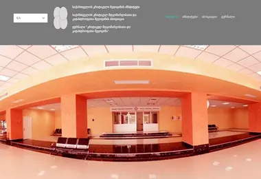 Скриншот ccmi.edu.ge