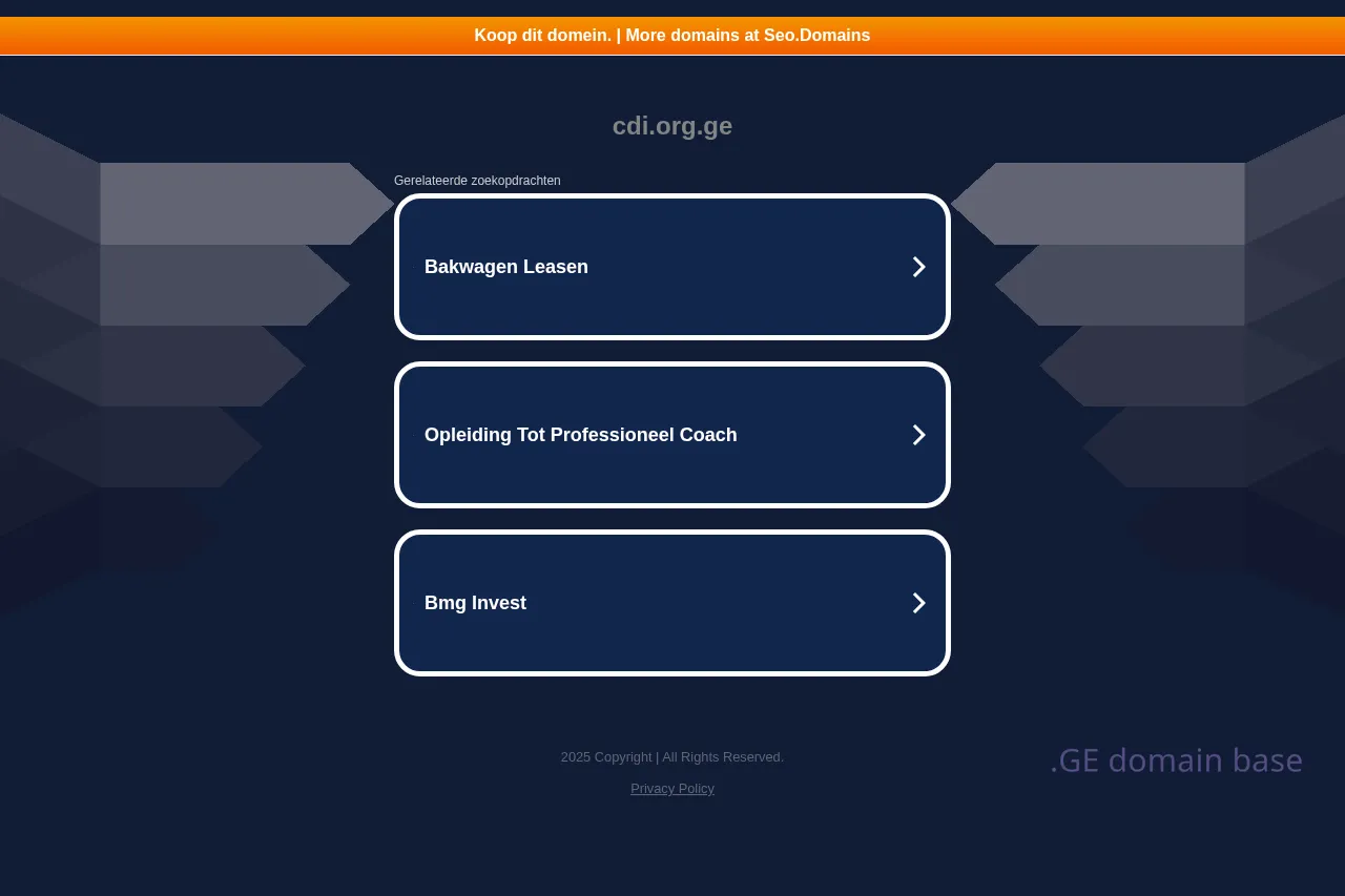 Screenshot of the site cdi.org.ge