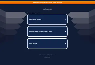 Screenshot of cdi.org.ge