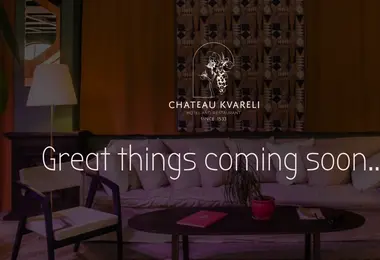 Screenshot of chateaukvareli.ge