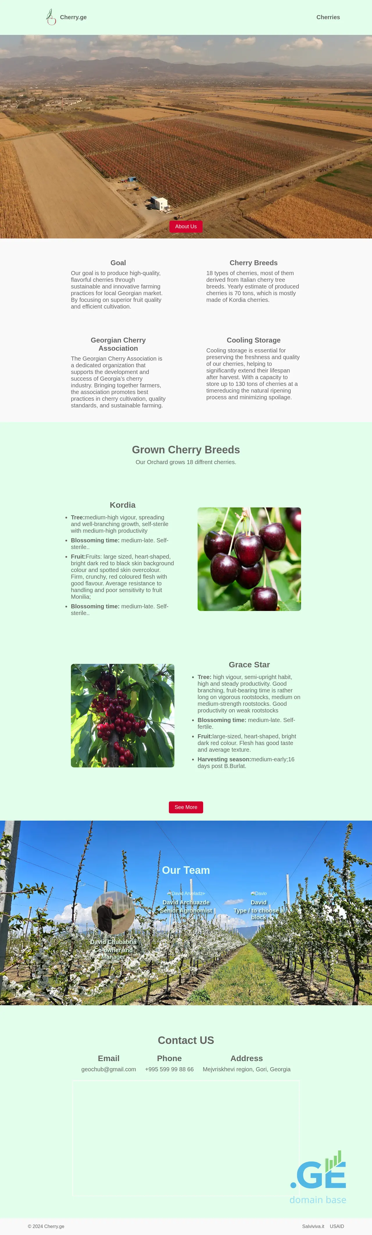 Screenshot of the site cherry.ge