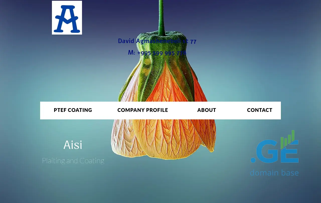 Screenshot of the site coat.ge