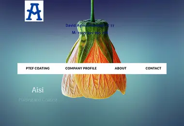 Screenshot of coat.ge