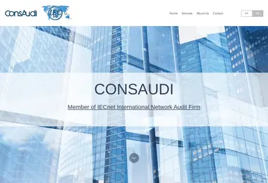 Screenshot of consaudi.ge