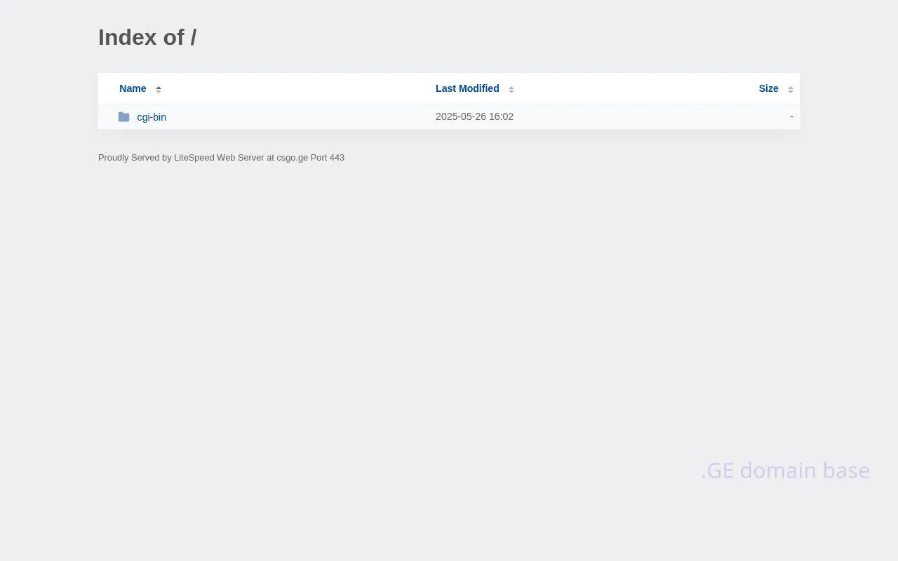 Screenshot of the site csgo.ge