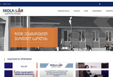 Screenshot of ctcskolalab.ge