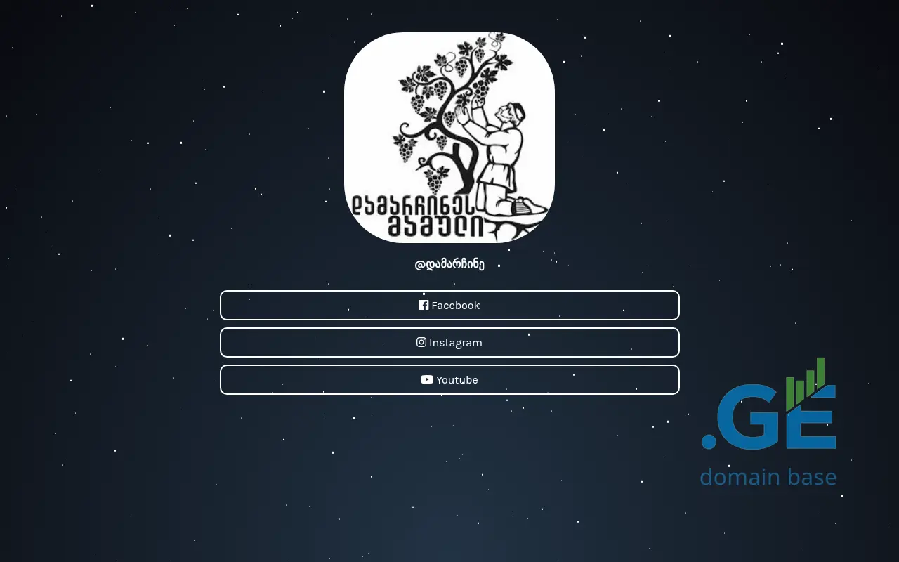 Screenshot of the site damarchine.ge