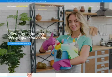 Screenshot of davitiani.ge