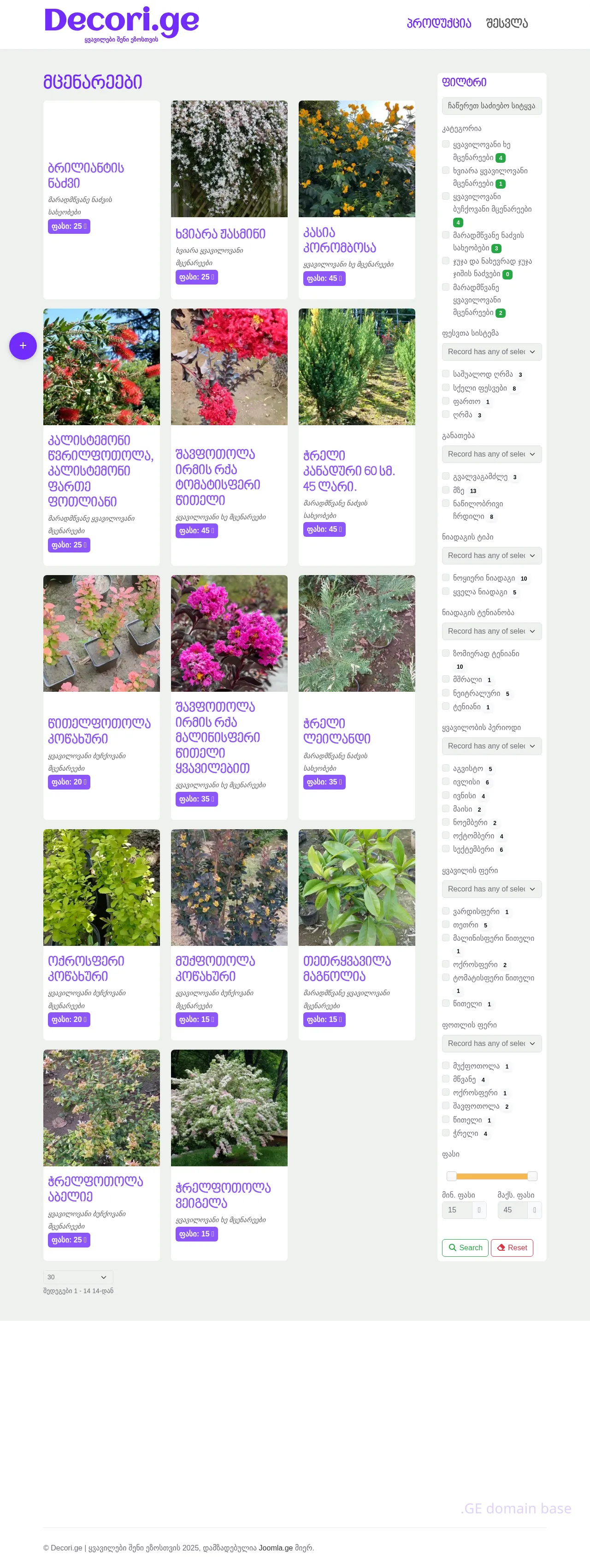 Screenshot of the site decori.ge
