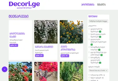 Screenshot of decori.ge