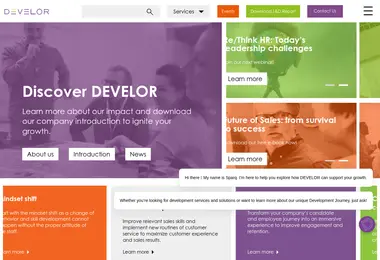 Screenshot of develor.ge