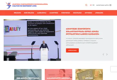 Скриншот disability.ge