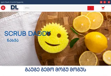 Screenshot of dls.ge