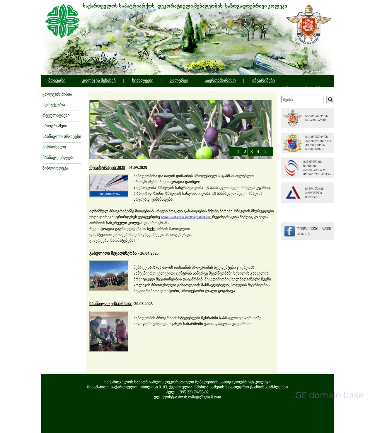Screenshot of the site dmsk.ge