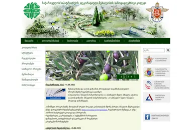 Screenshot of dmsk.ge