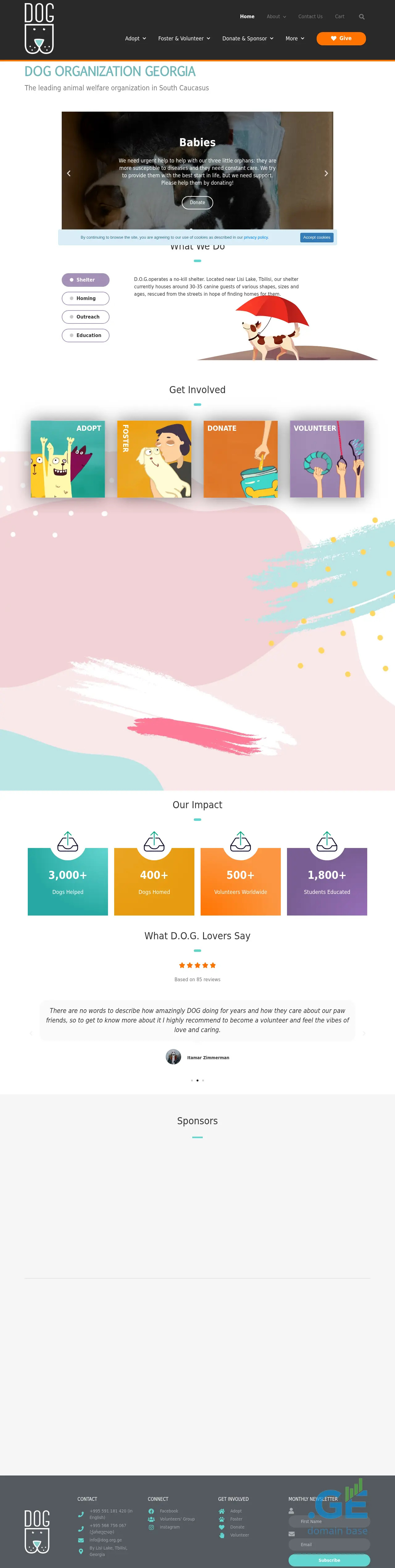 Screenshot of the site dog.org.ge