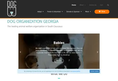 Screenshot of dog.org.ge