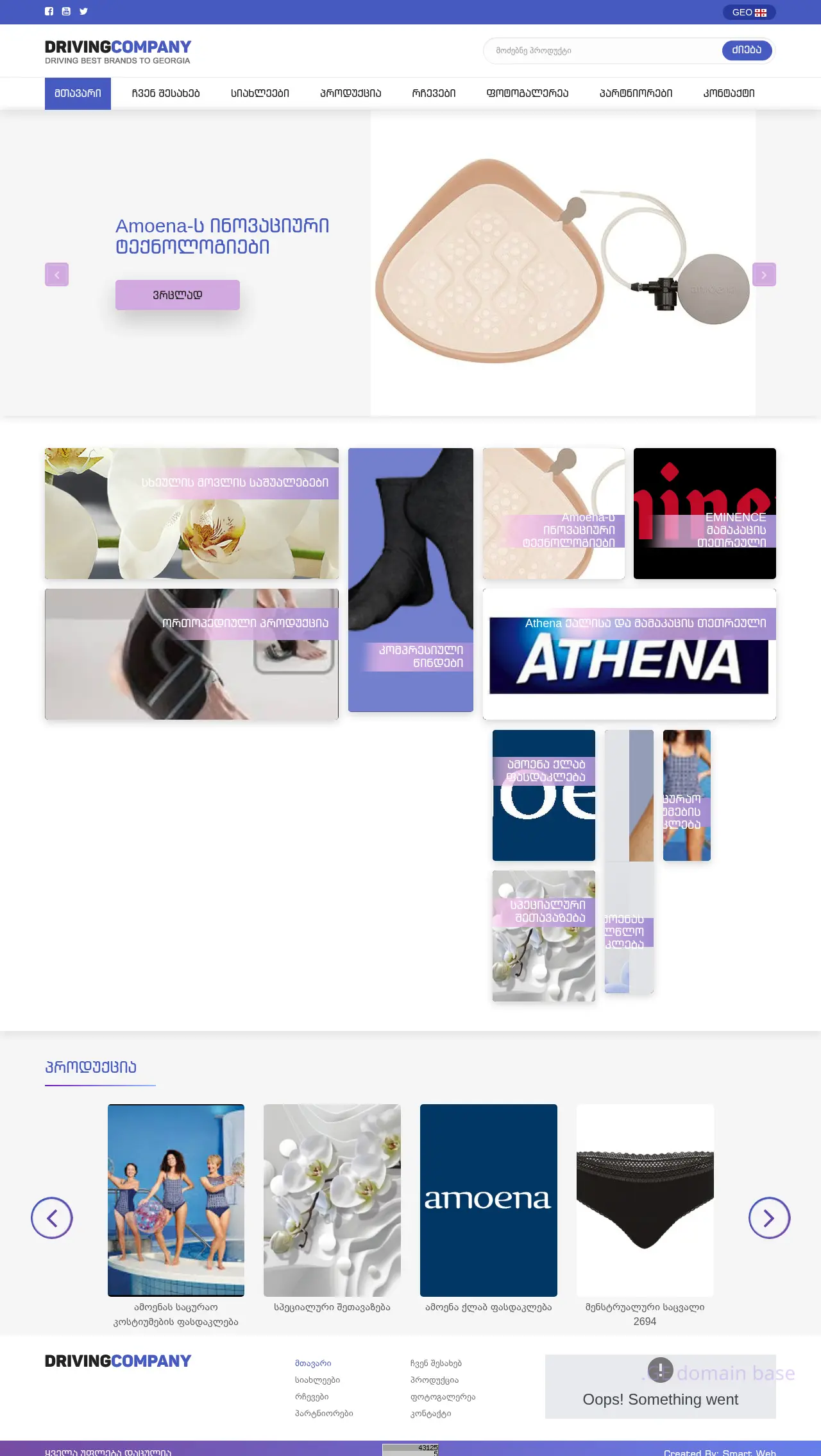 Screenshot of the site drivingcompany.ge