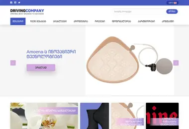 Screenshot of drivingcompany.ge