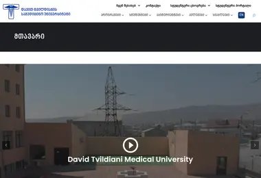 Screenshot of dtmu.ge