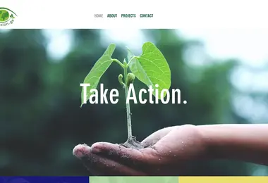 Screenshot of ecovision.ge