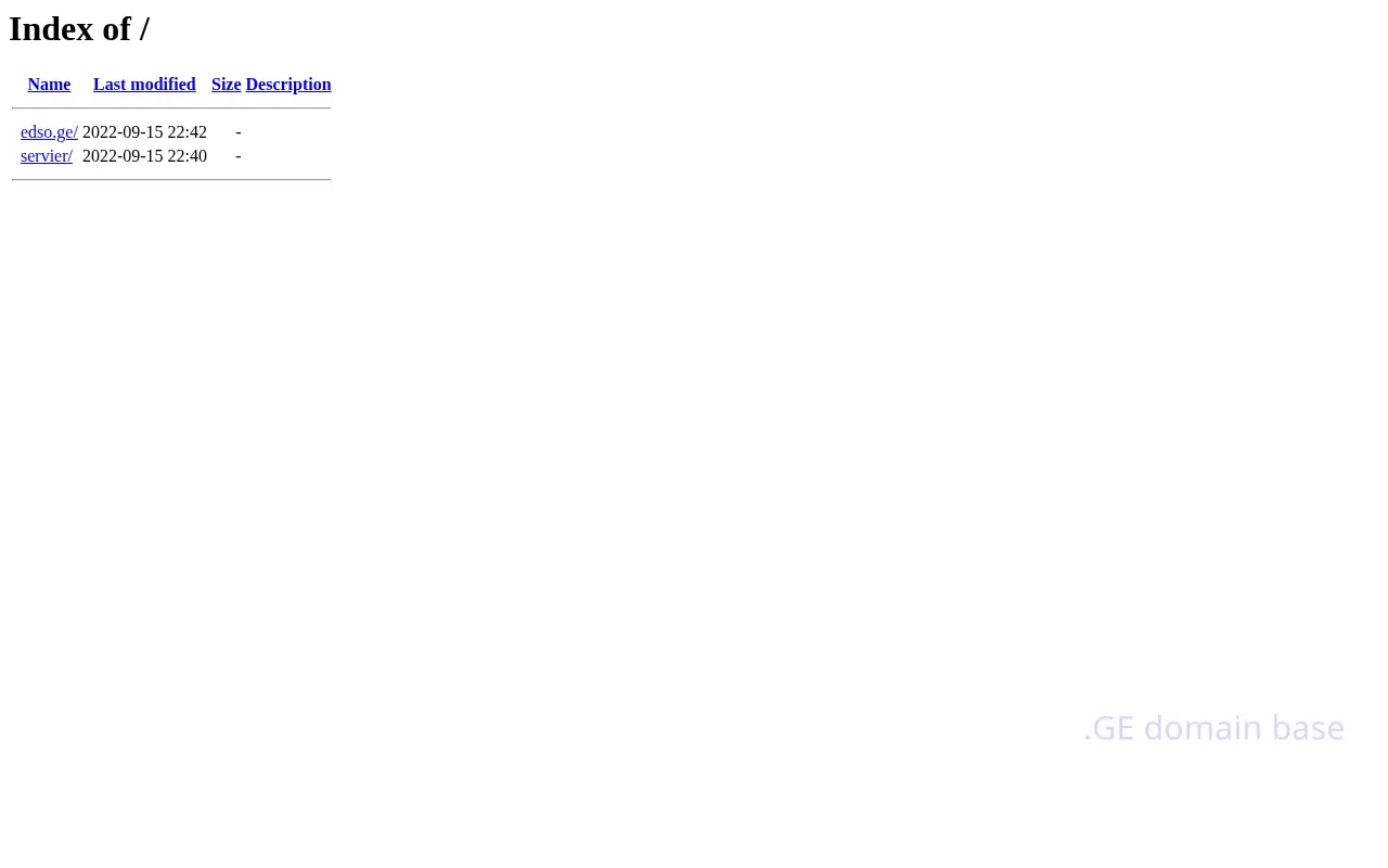 Screenshot of the site edso.ge