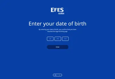 Screenshot of efes.ge