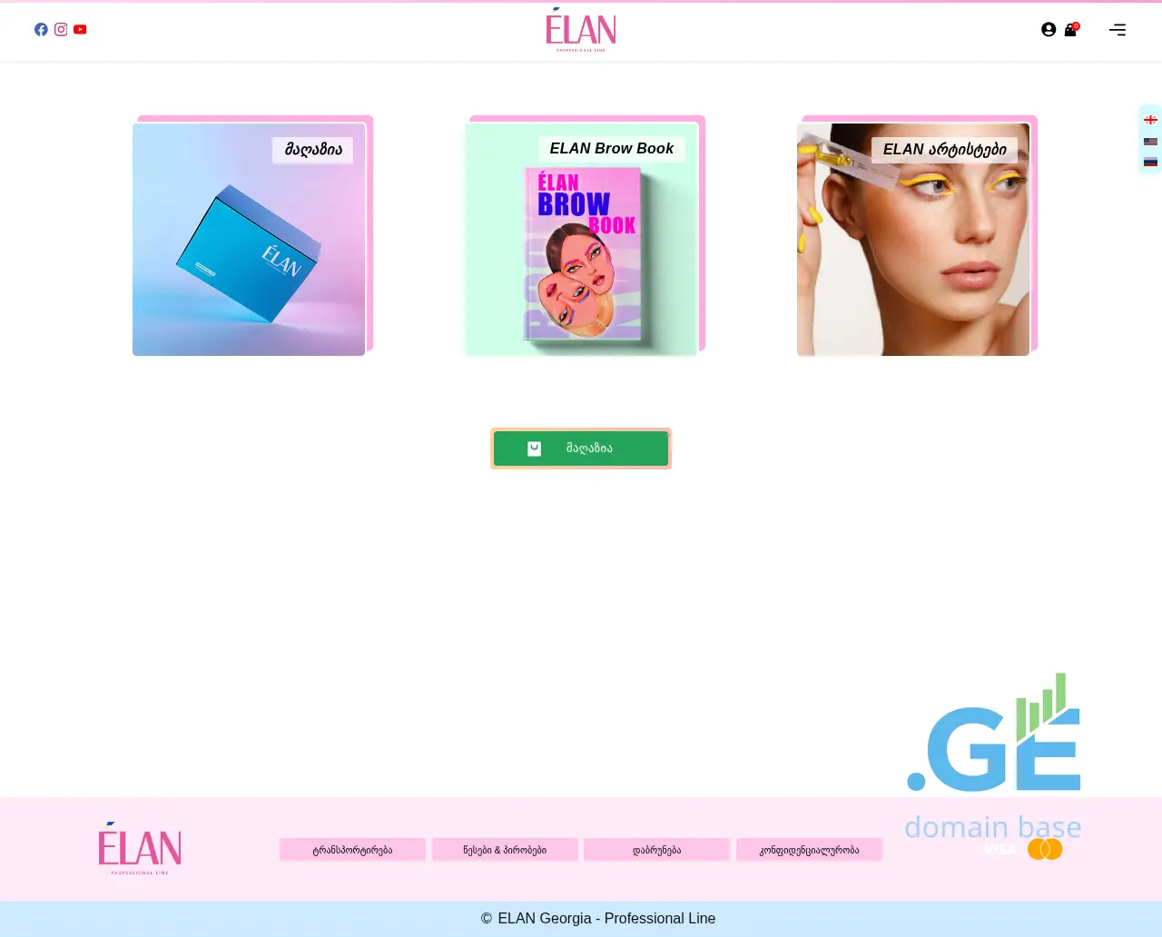 Screenshot of the site elanofficial.ge