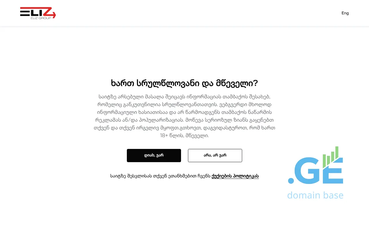 Screenshot of the site eliz.ge