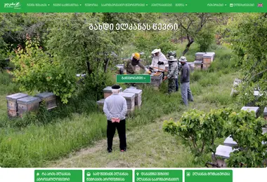 Screenshot of elkana.org.ge