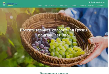 Screenshot of emeraldtravel.ge