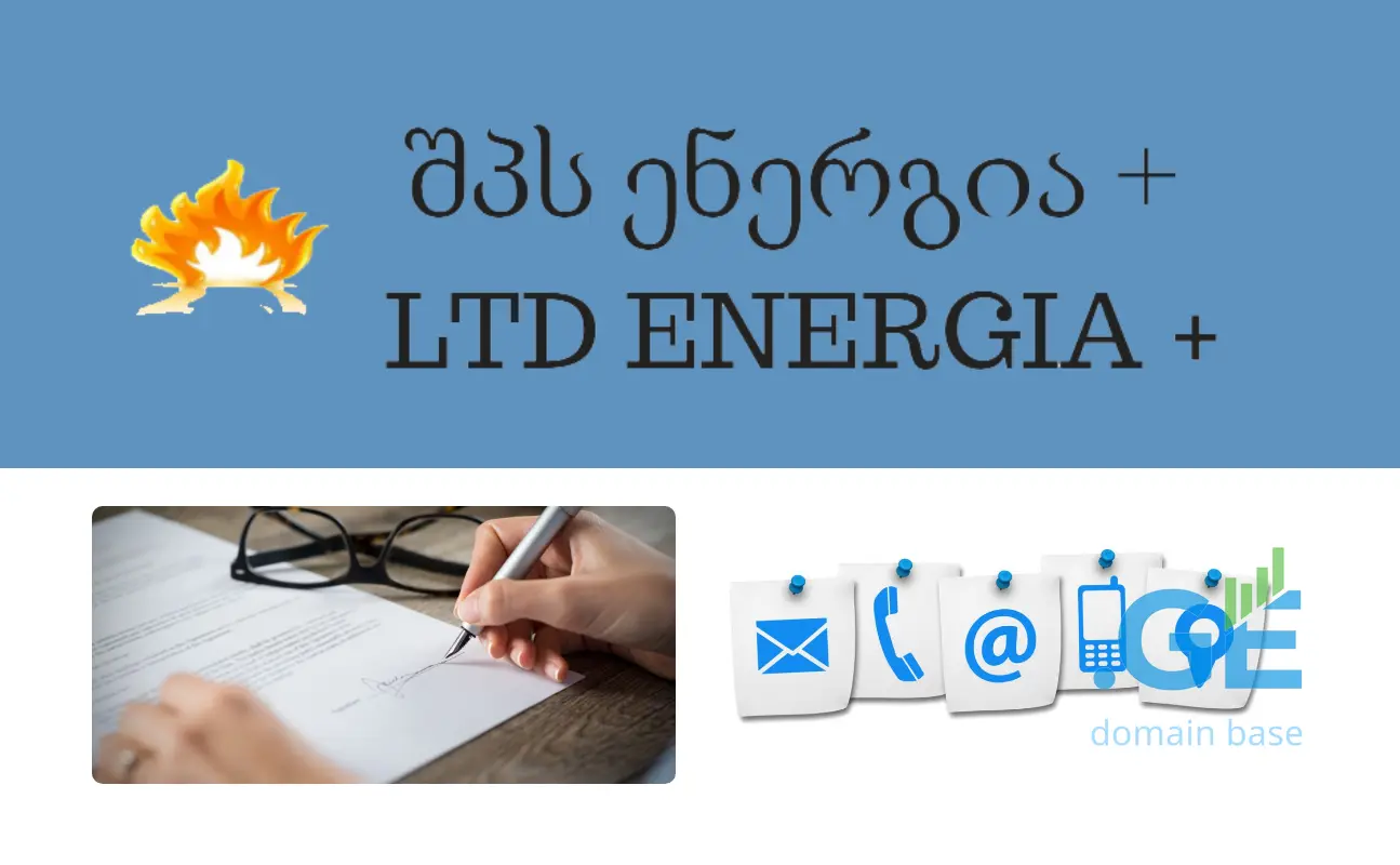 Screenshot of the site energiaplus.ge